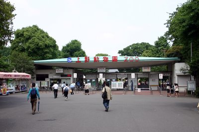 Tokyo subway.  Photo from the Internet.